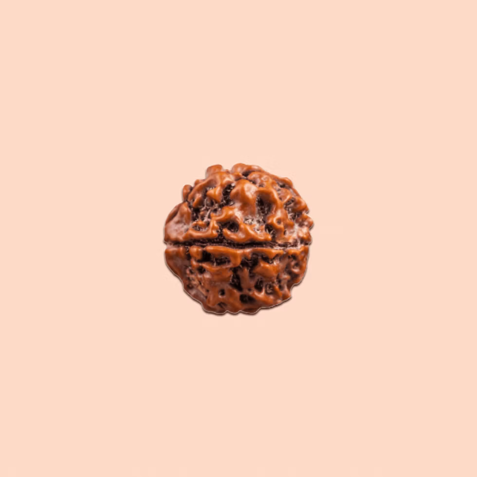 Rudraksha